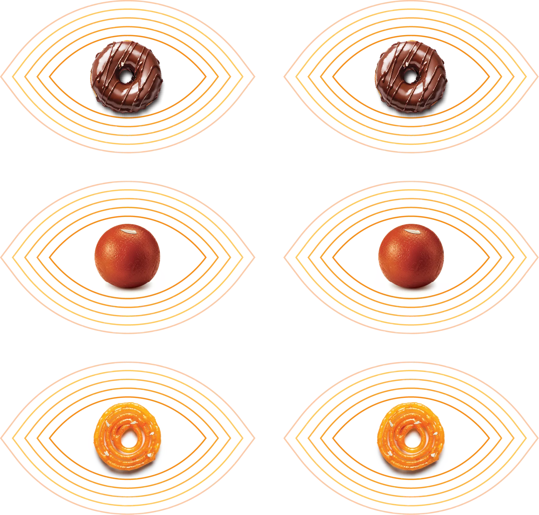 The Story Beyond Sugar